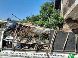 Best Moving and Downsizing Cleanouts  in Nappanee, IN